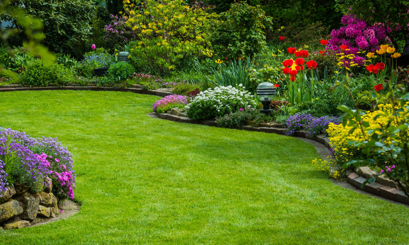 Rasen anlegen und pflegen perfekt umgesetzt, ein Beet mit bunten Blüten auf der rechten Seite und eins auf der linken Seite, beides ist mit einer Rasenkante eingefasst